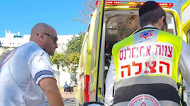הצלה, צילום: מסך, אתר הצלה